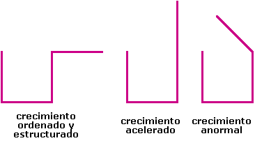 Imagen1