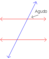 imagen5